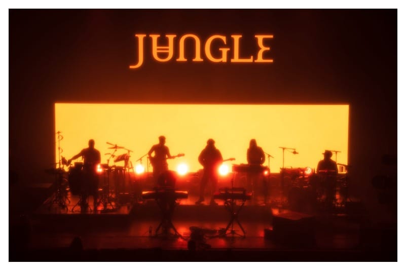 Jungle live concert banner